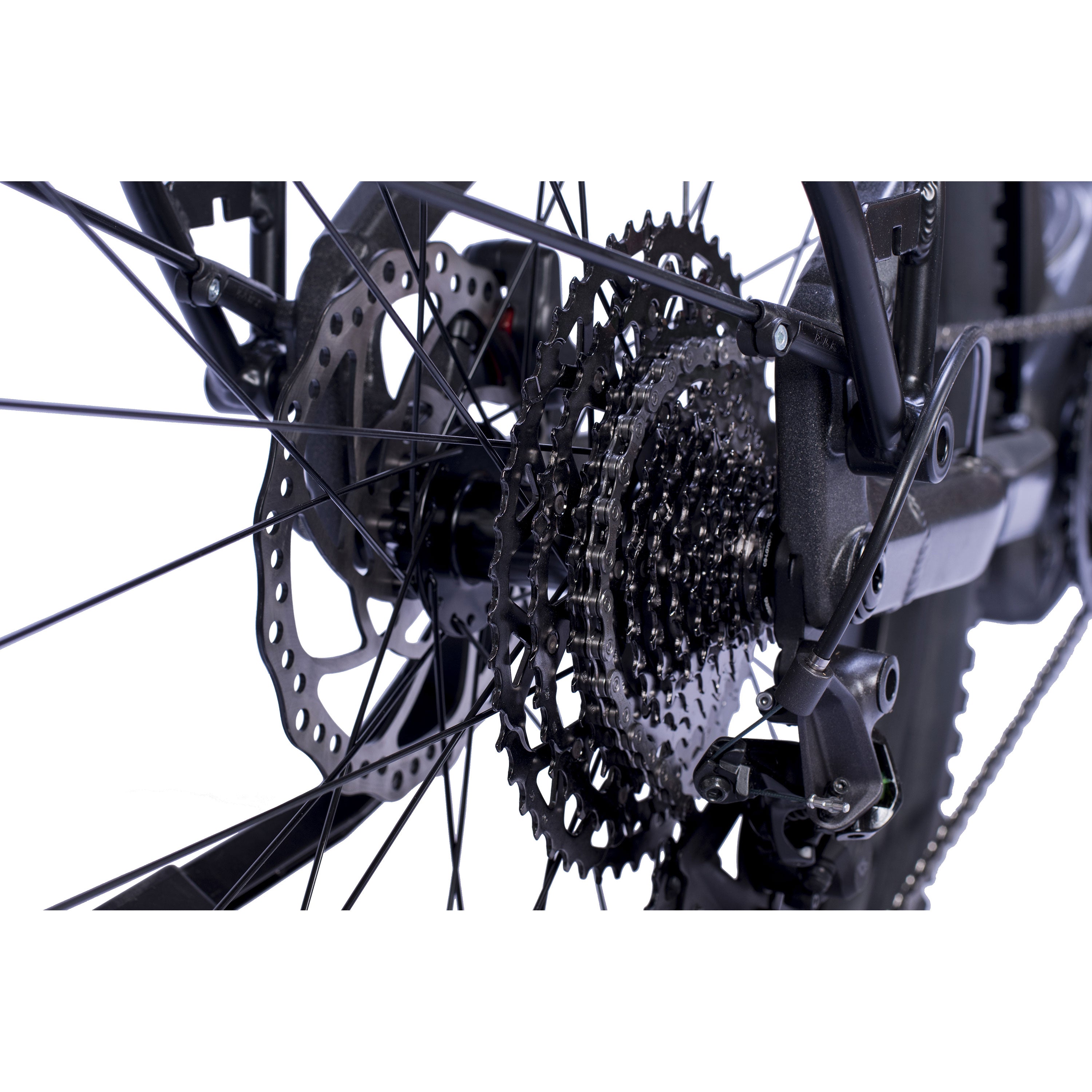 29" E-SUV VTT électrique homme STREAMER CX11 BOSCH PERFORMANCE LINE CX (GEN 5) Smart System POWERTUBE 600 Wh 11 vitesses SHIMANO XT RD-M8130 SGS
