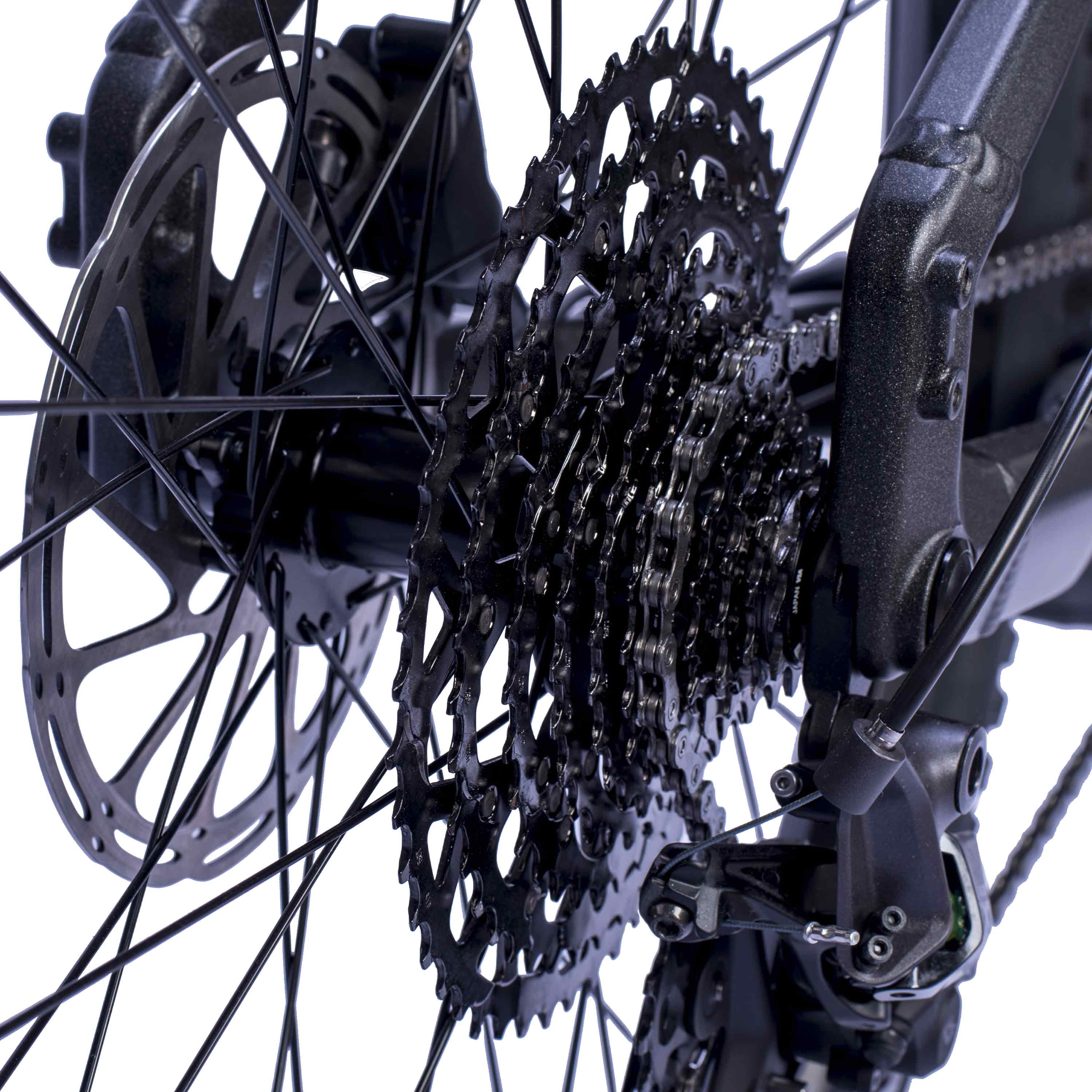 29" E-SUV MTB STREAMER CX11 BOSCH PERFORMANCE LINE CX (GEN 5) Smart System POWERTUBE 600 Wh 11 x velocidades SHIMANO XT RD-M8130 SGS Negro