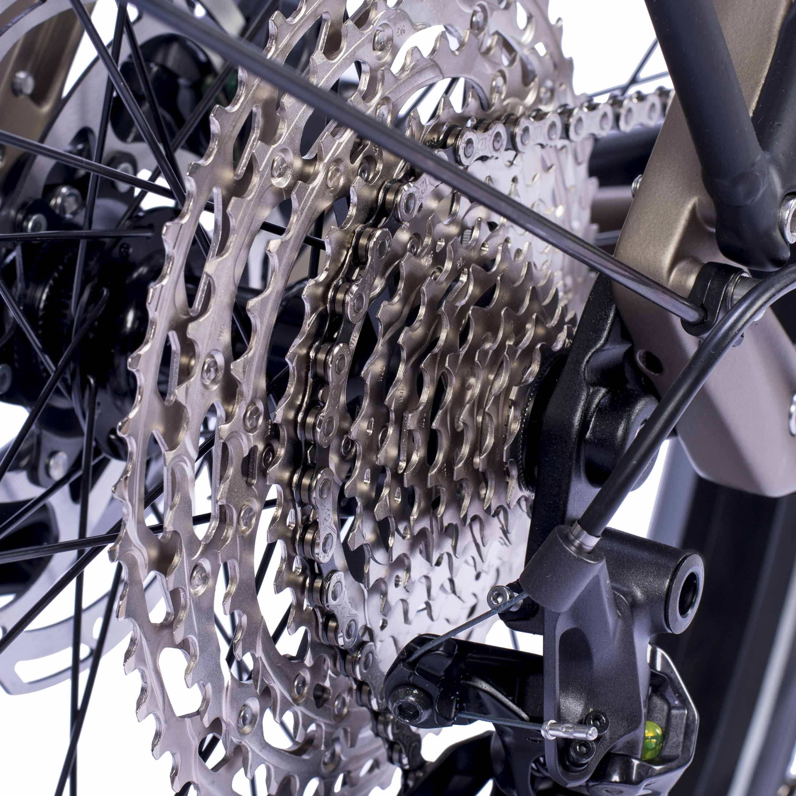 27.5" women's E-SUV MTB Wave LS TERRA CX1 BOSCH PERFORMANCE LINE CX (Gen 5) Smart System POWERTUBE 800 Wh 12 x GANG SHIMANO XT RD-M8100