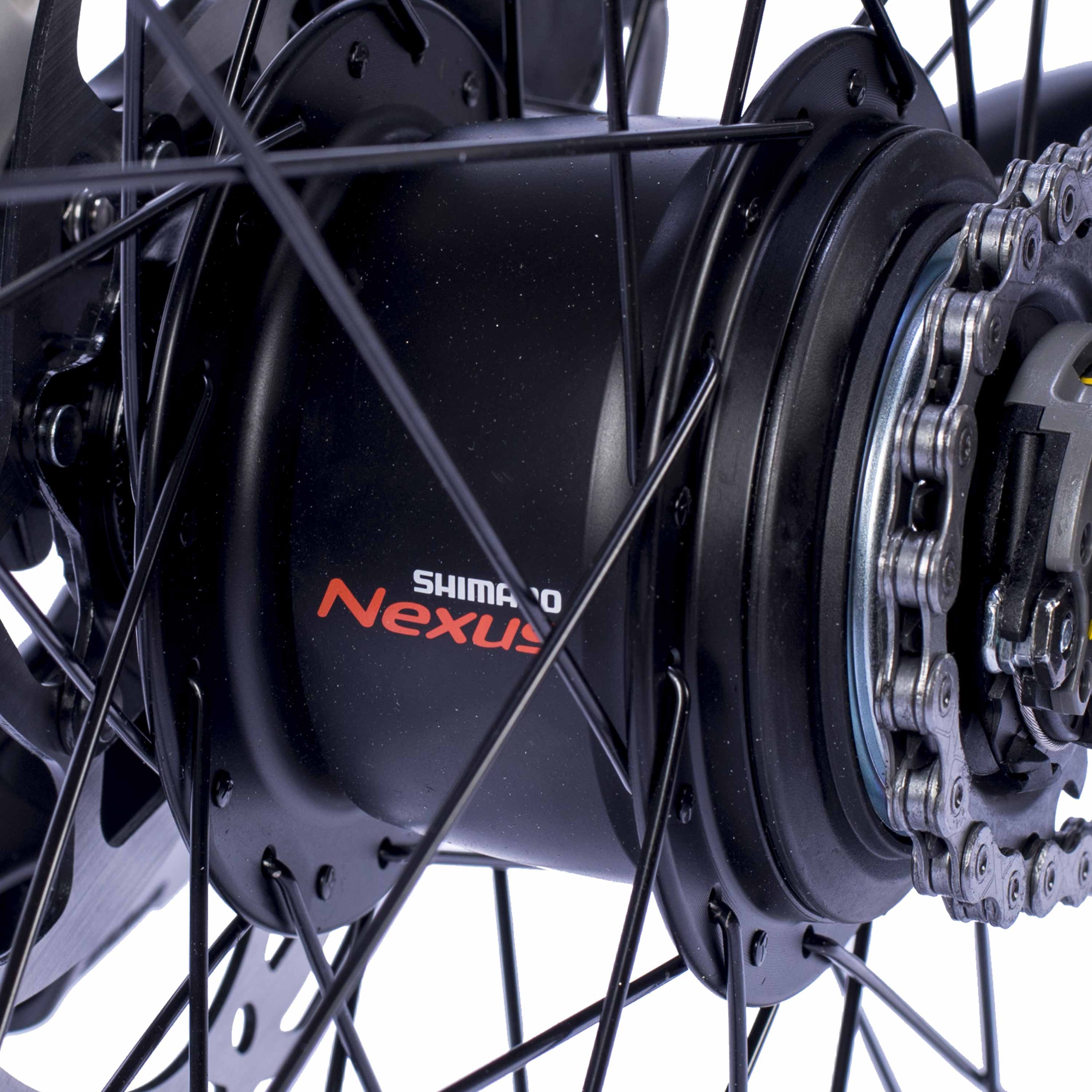 28"E-bike da donna city bicicletta LS Wave TERRA CT2 Bosch Performance Line Smart System PowerTube 600 Wh Shimano Nexus 8 velocità freno a contropedale