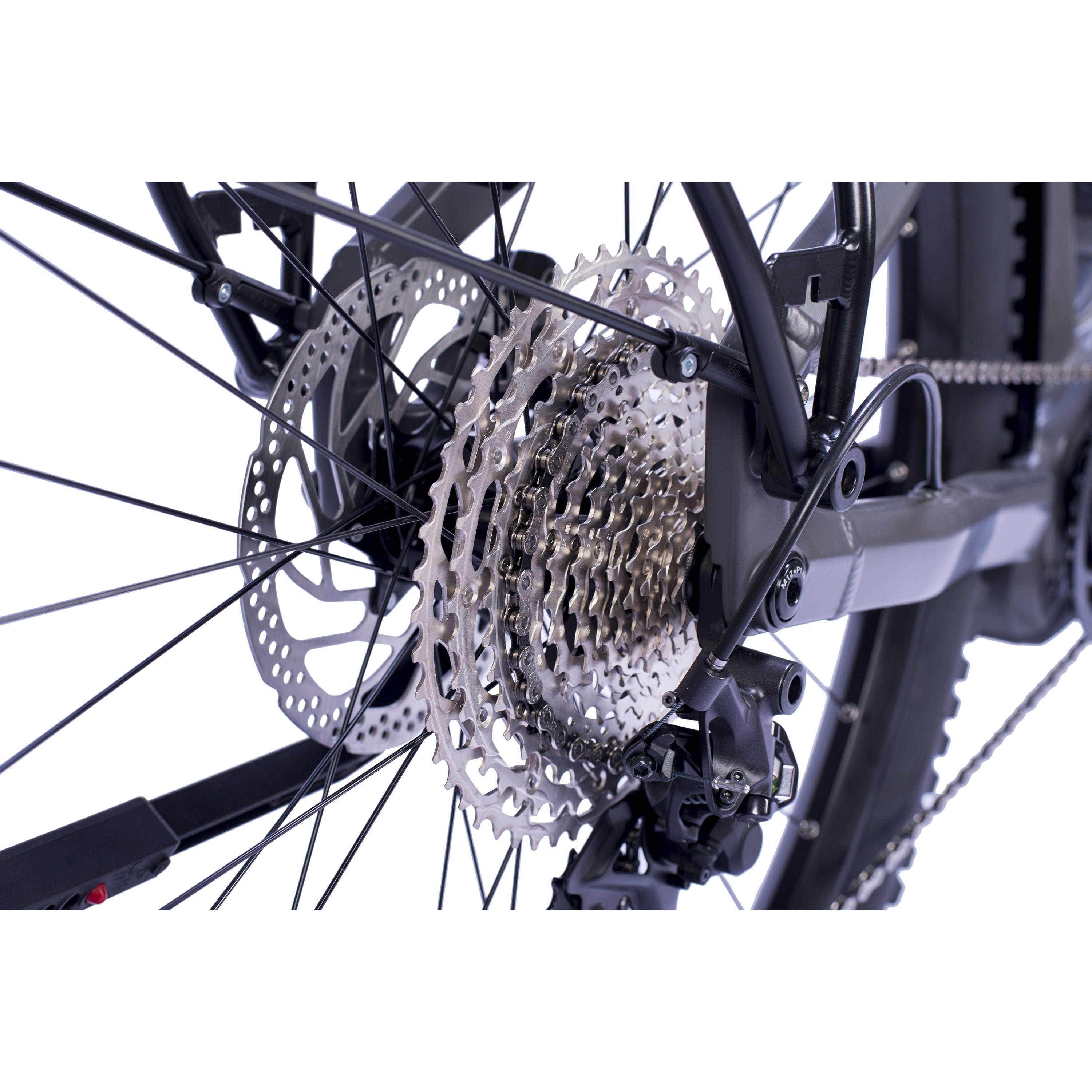 29" E-SUV VTT électrique homme STREAMER CX12 BOSCH PERFORMANCE LINE CX (GEN 5) Smart System POWERTUBE 800 Wh 12 vitesses SHIMANO XT RD-M8100 SGS 