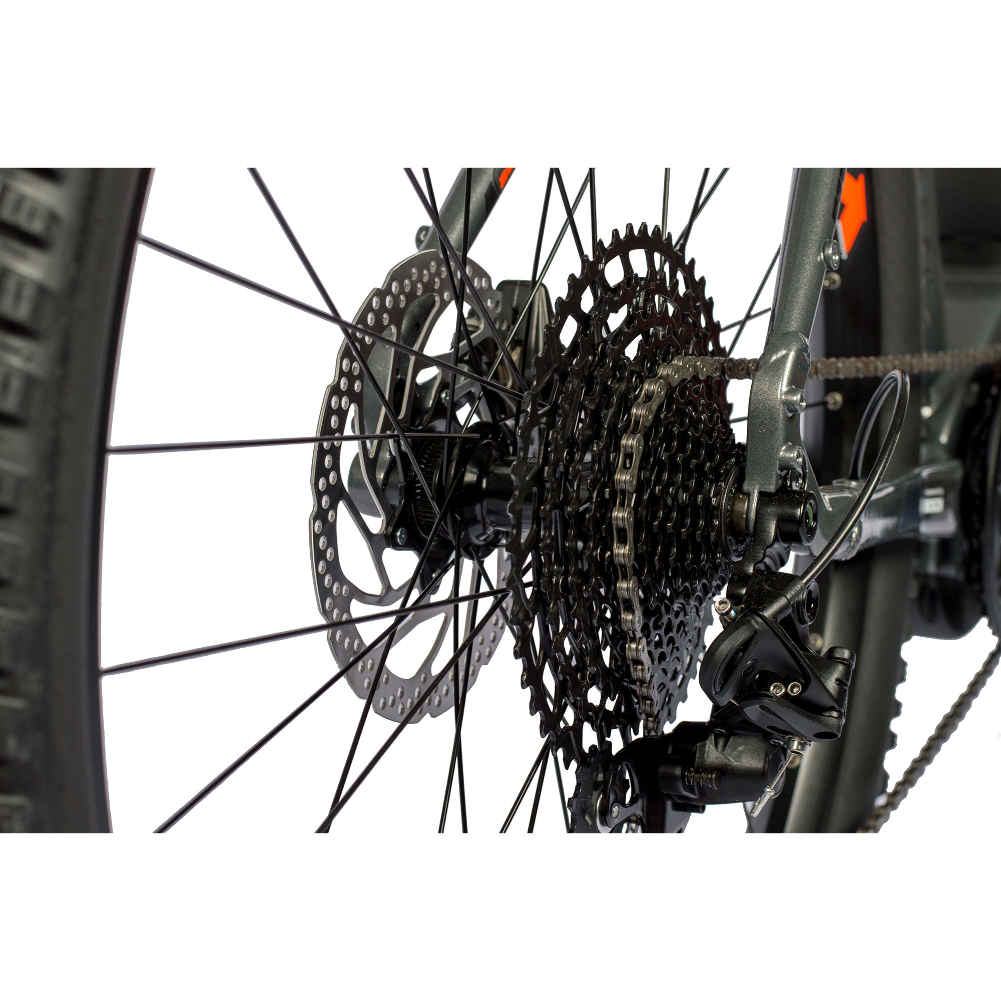 29-Cross-MTB-Streamer-BOSCH-5-2000