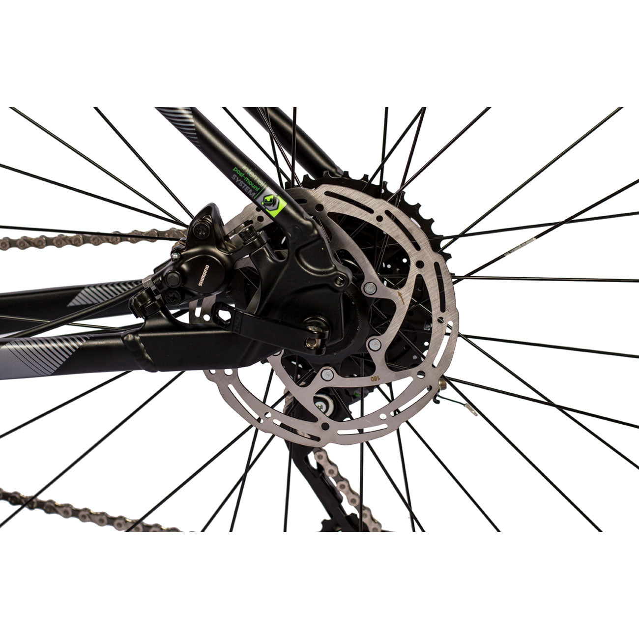 29_Sprint_Apolon_schwarz_gruen_11