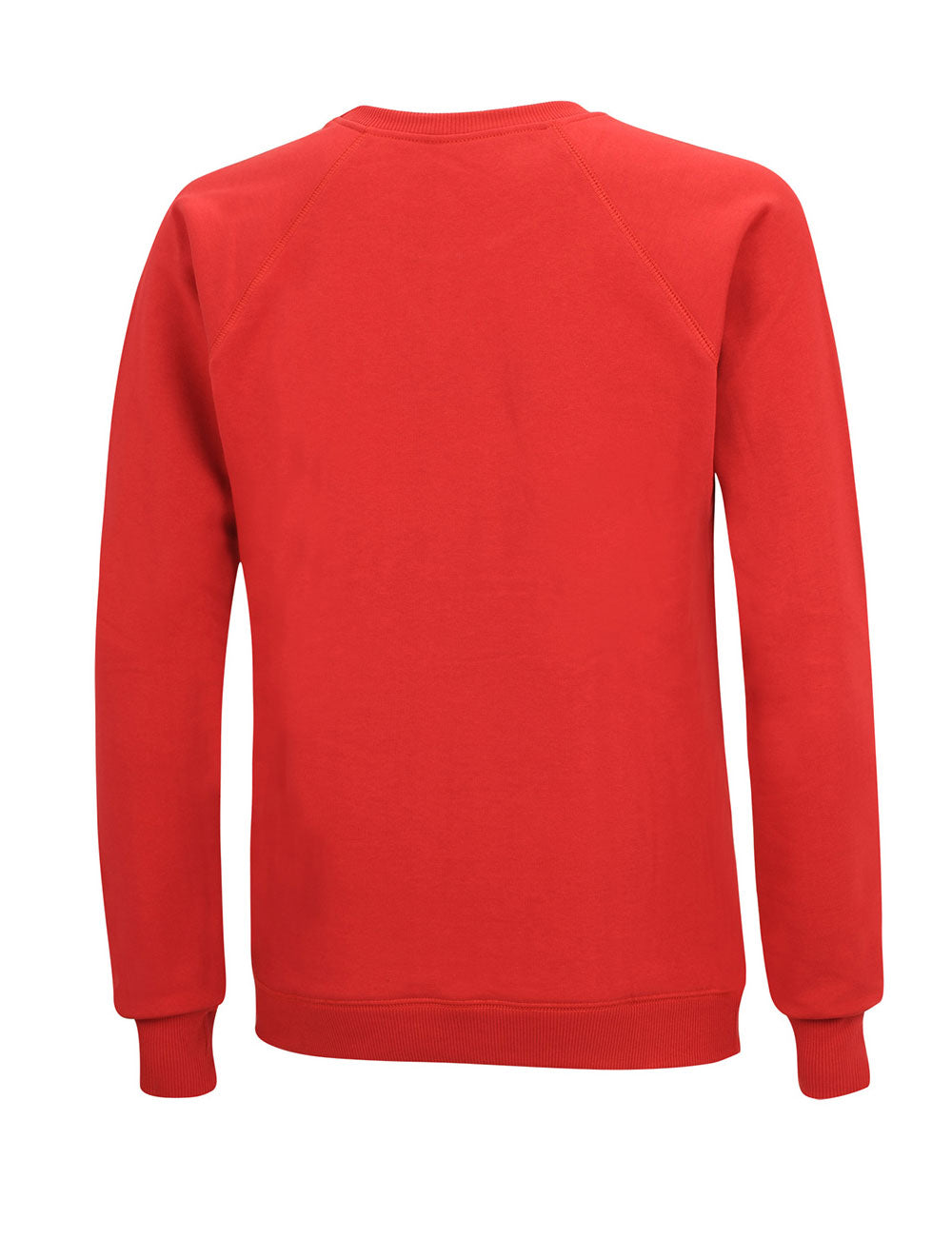 sweatshirt_01b1_back_rot_1000x1300